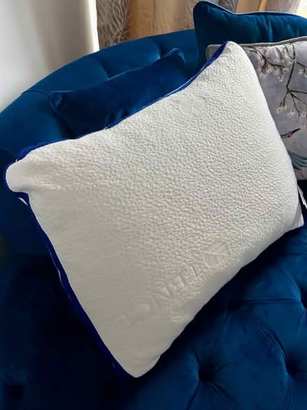 Photo of free Nearly new pillow (Sherwood, Nottingham) #1