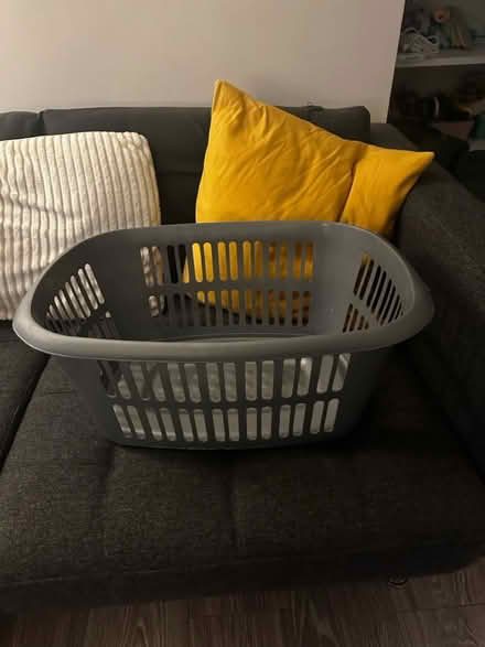 Photo of free Laundry Basket (Fairview) #1