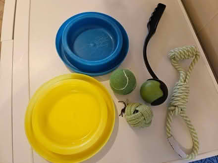 Photo of free Pet Bowls and Toys (Strathfield) #1