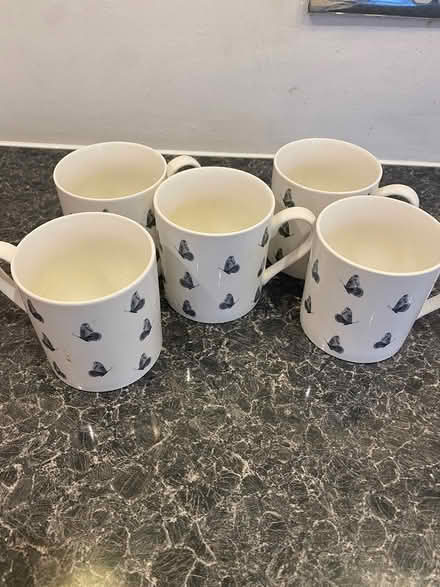 Photo of free 5 Tea Mugs (Horndon SS17) #3