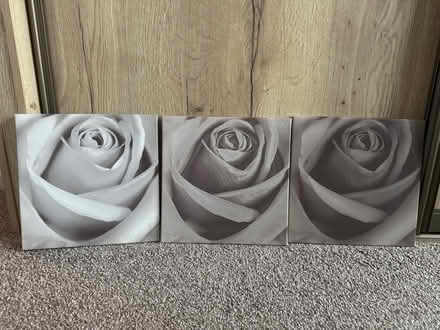 Photo of free Canvas (Toton NG9) #1