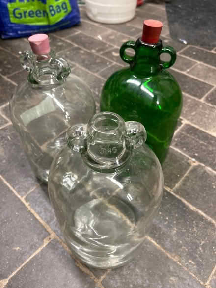 Photo of free Three 1 gallon demijohns (Haldens AL6) #1
