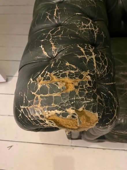 Photo of free Green chesterfield arm chair (Gospel Oak NW3) #3