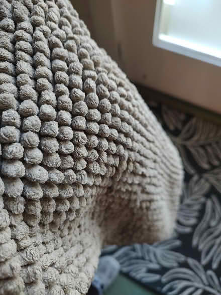 Photo of free Bath mat (Odenton) #2