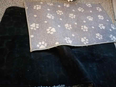 Photo of free Door mats (Willesborough) #1