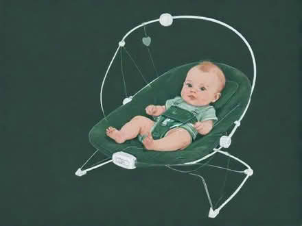 Photo of Baby Bouncer (TN24) #1