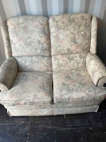 Photo of free Small soda (Lanarkshire) #3