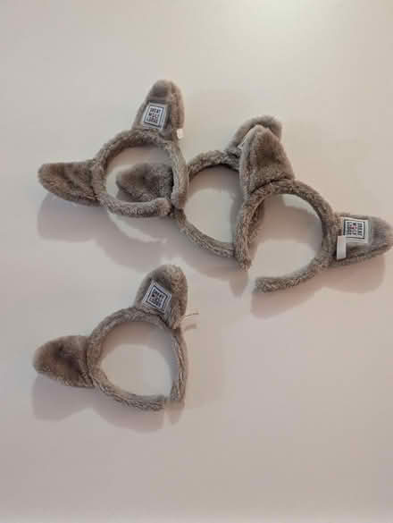 Photo of free 4 Great Wolf Lodge headbands/ears (Ashburn Farm) #2