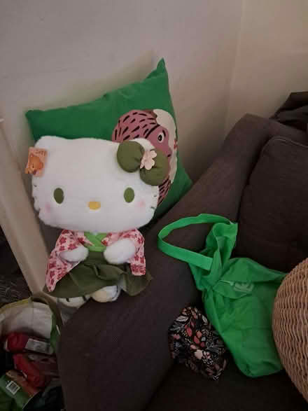 Photo of free Brand new (Southall Green) #1