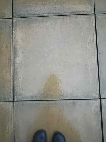 Photo of free Paving Slabs (SW19 6NX) #2