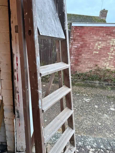 Photo of free Wooden step ladder (Cooden TN39) #3