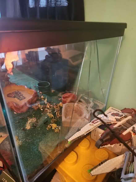 Photo of free Large glass reptile cage (60107) #1