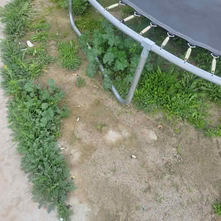 Photo of free 10 foot trampoline damaged (East hemet / new chicago st) #3