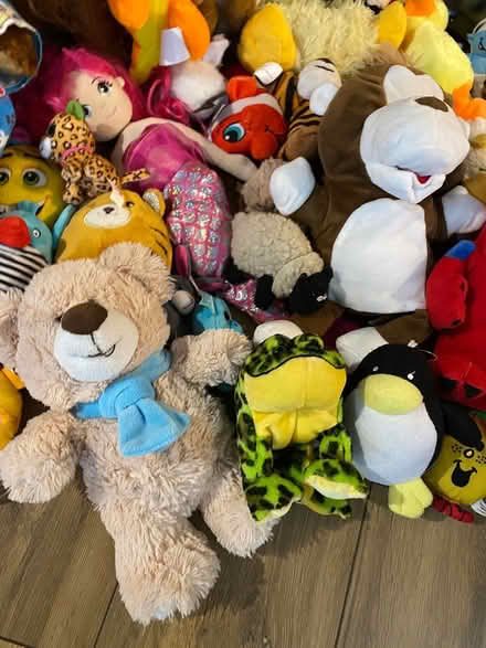 Photo of free Teddy Bundle (Horndon SS17) #4