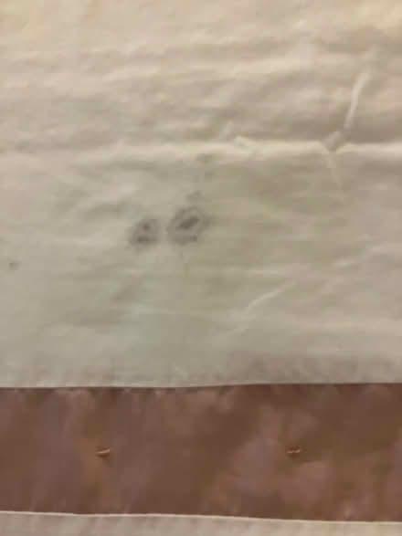 Photo of free Double duvet set (Ifton Heath SY11) #4