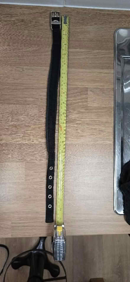 Photo of free Dog Collar - Medium (Seaford BN25) #3