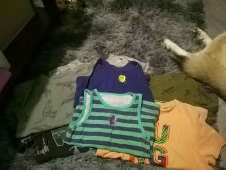 Photo of free Boys clothes (Keighley,) (Keighley bd20) #2