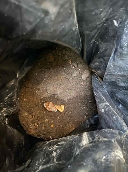 Photo of free Garden landscaping materials (SW2 - Brixton) #1