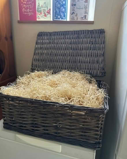 Photo of free Rectangular wicker basket/tray (RG1) #1