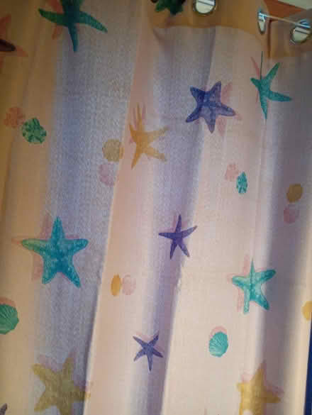 Photo of free Long curtains (Willesborough) #1