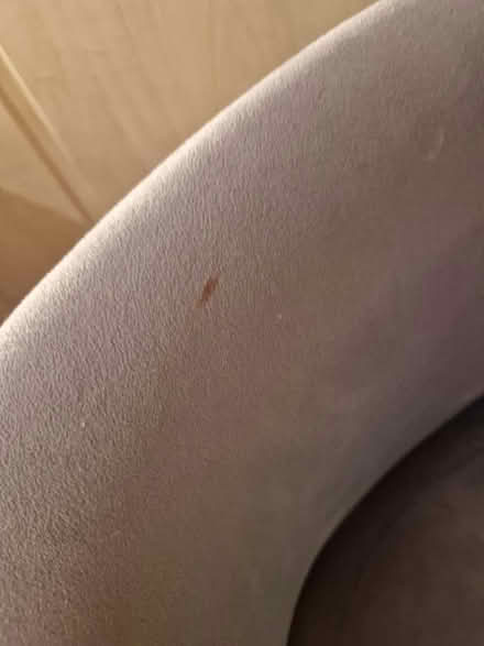 Photo of free Grey plush velour occasional chair (Up Hatherley GL51) #2