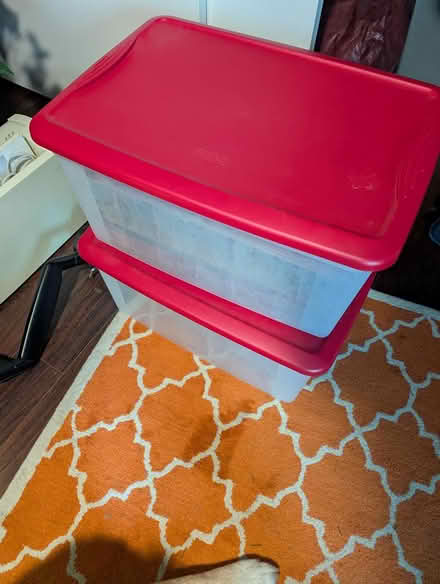 Photo of free Storage bins (Folsom) #1