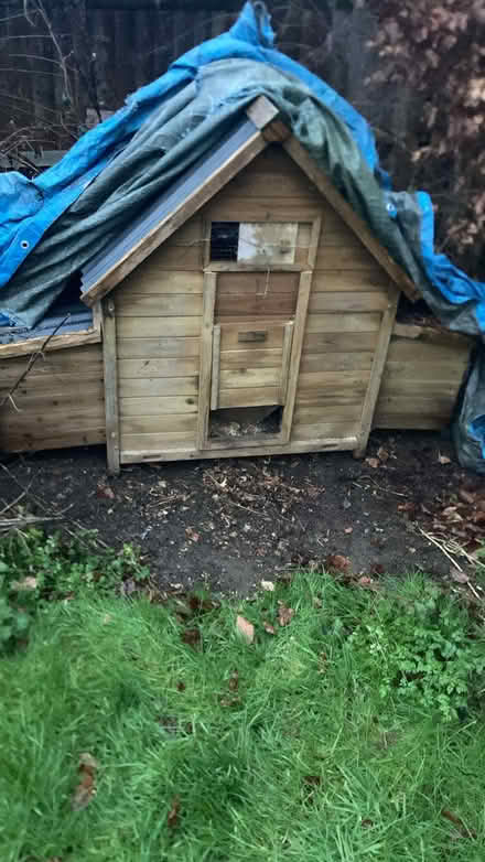 Photo of free Chicken coup - houses 6 girls (North Dean HP14) #1