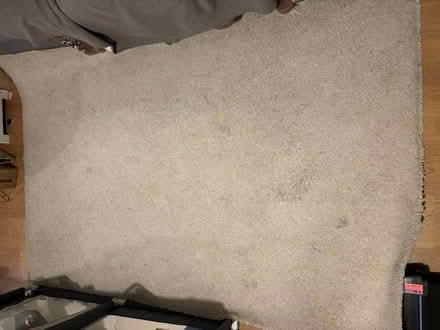 Photo of free Carpet (WF9) #1