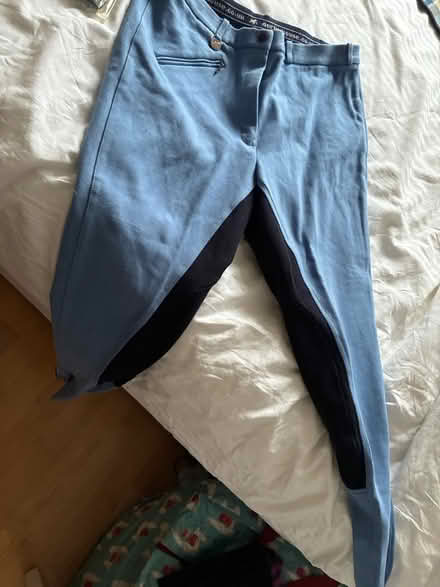 Photo of free Horse riding equipment (Southgate N14) #3