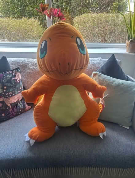 Photo of free Pokémon Soft Toy (Sawbridgeworth) #1