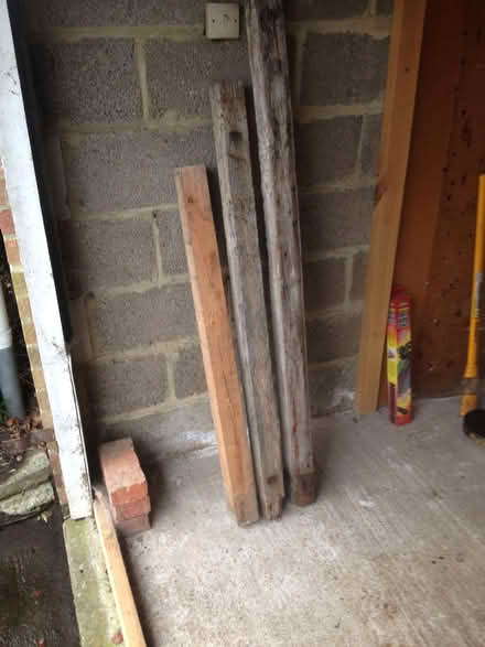 Photo of free Old Wooden Posts (Purbrook PO7) #1