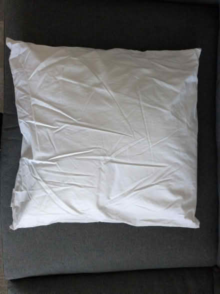 Photo of free Throw Pillow Insert 16x16 inch (Near Roosevelt and Alameda) #1