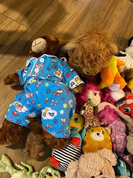 Photo of free Teddy Bundle (Horndon SS17) #2