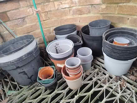 Photo of free Plastic plant pots (CT21) #1