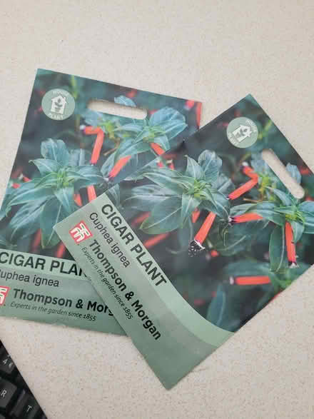 Photo of free Cigar Plant Seeds (Canford Heath BH17) #1