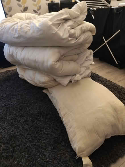 Photo of free Bedding (Ellesmere Port CH65 5DZ) #1