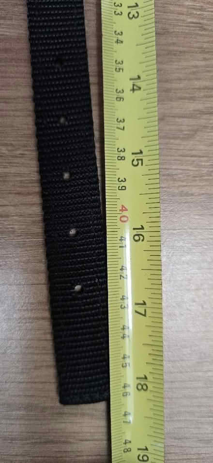 Photo of free Dog Collar Medium (Seaford BN25) #2