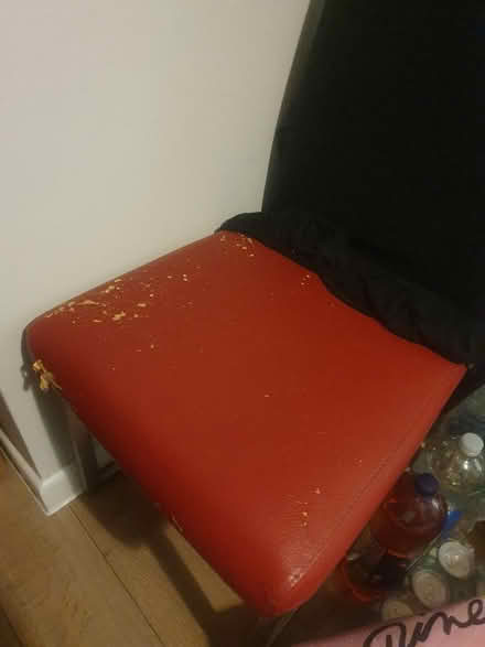 Photo of free 5 dining chairs with covers (Ox5 3by) #4