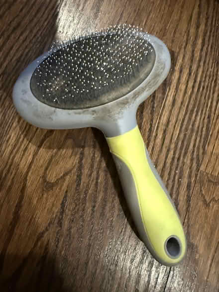 Photo of free Cat brush (Mount Pleasant, DC) #1