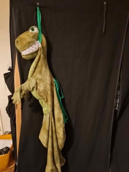 Photo of free Kids dinosaur outfit (NG15) #1