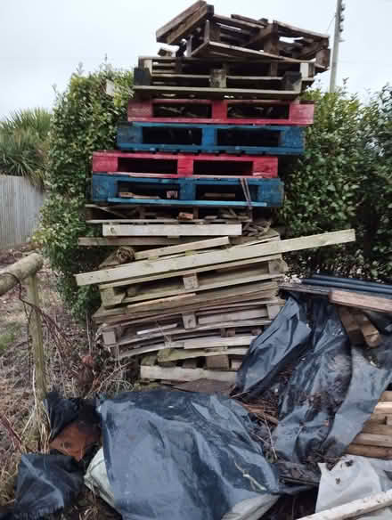 Photo of free Pallets (Sutton Bridge PE12) #1