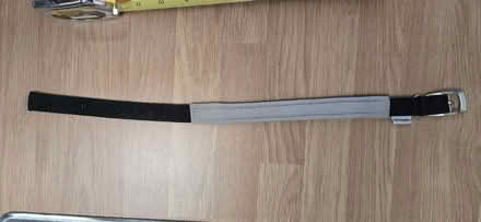 Photo of free Dog Collar Medium (Seaford BN25) #1