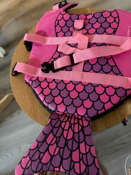 Photo of free Dog life jacket (Colchester CO3) #1