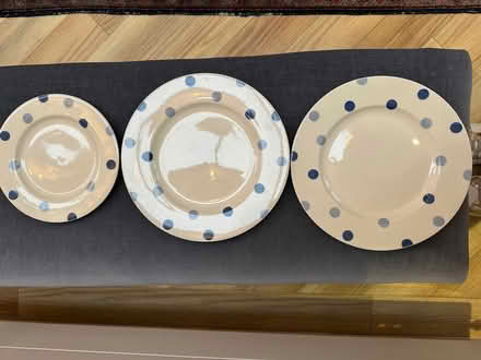Photo of free Fairmont & Main BLUE SPOT plates (Putney SW15) #1
