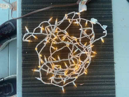 Photo of free Incandescent mini Xmas lights (Palo Alto downtown north.) #1