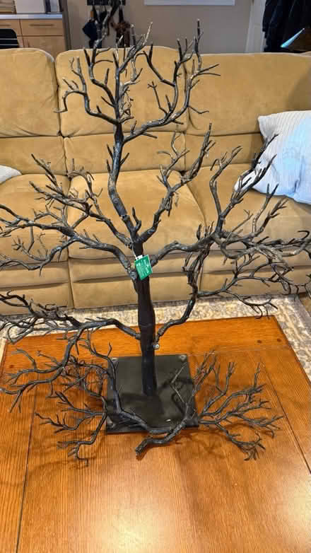 Photo of free Kurt Adler Black Tree (NE Glenview (Lake & Harms)) #2