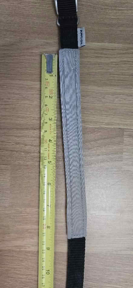 Photo of free Dog Collar Medium (Seaford BN25) #4