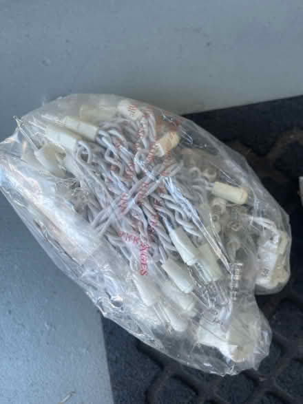 Photo of free Incandescent mini Xmas lights (Palo Alto downtown north.) #2