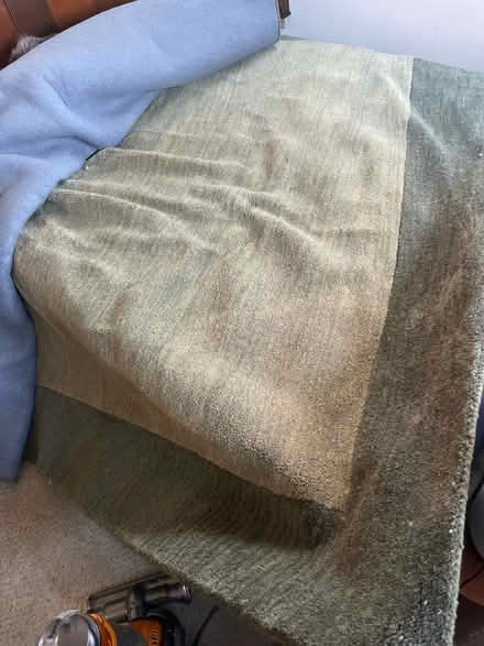 Photo of free large green rug (east hollywood) #1