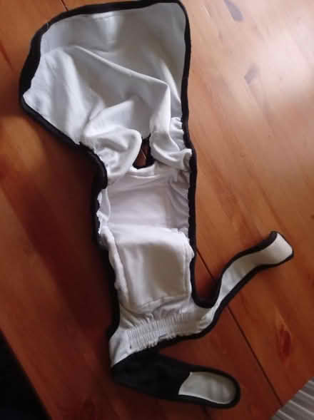 Photo of free XL reusable dog nappies (Ridge LA1) #1